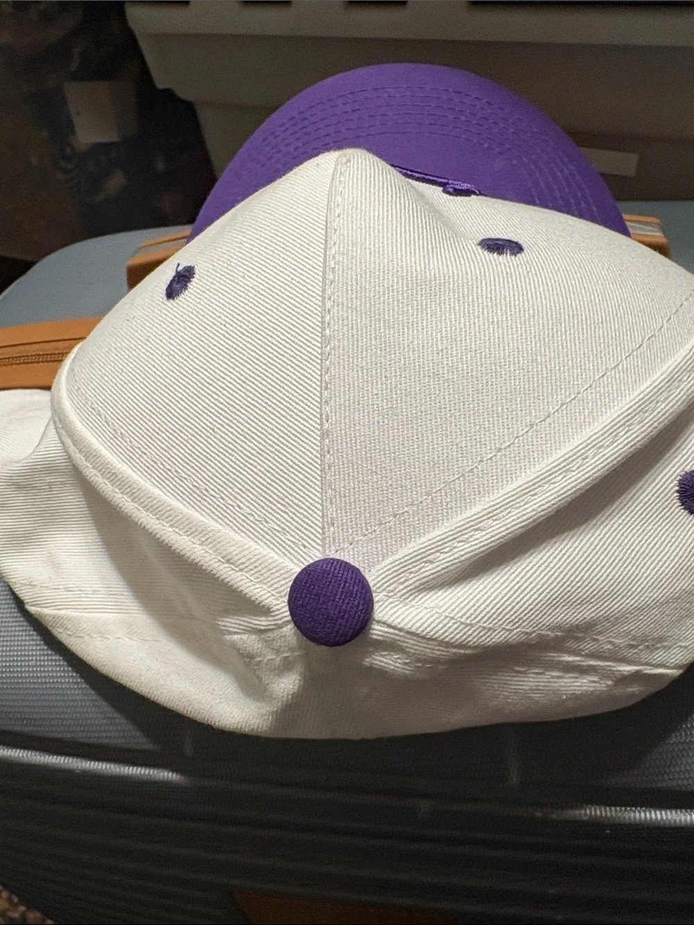 Northwest 'Cats' Two-Tone Baseball Cap - White & Purple